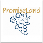 Promiseland Logo Thumbnail