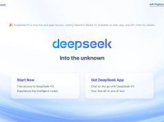 DeepSeek